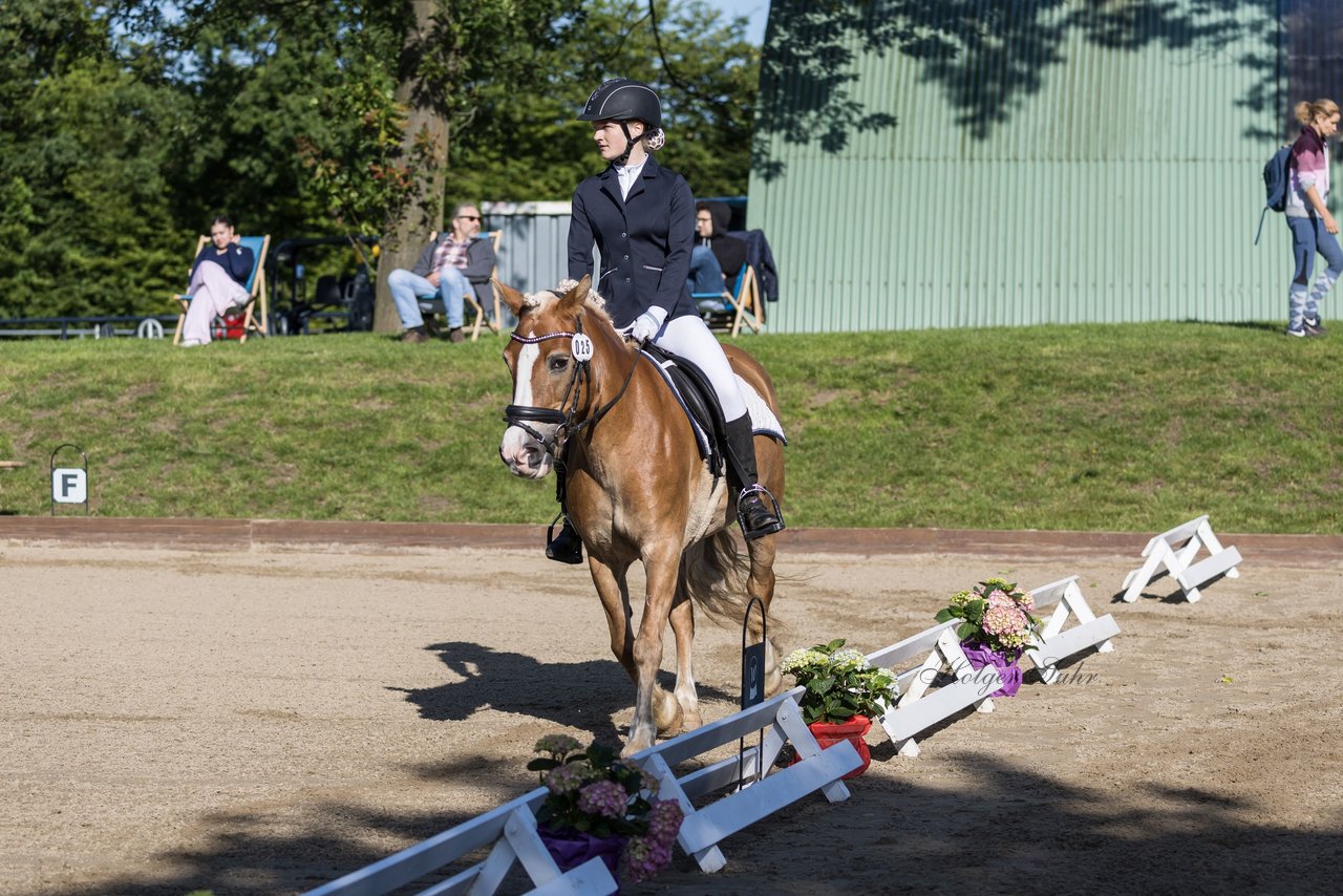 Bild 11 - Pony Akademie Turnier